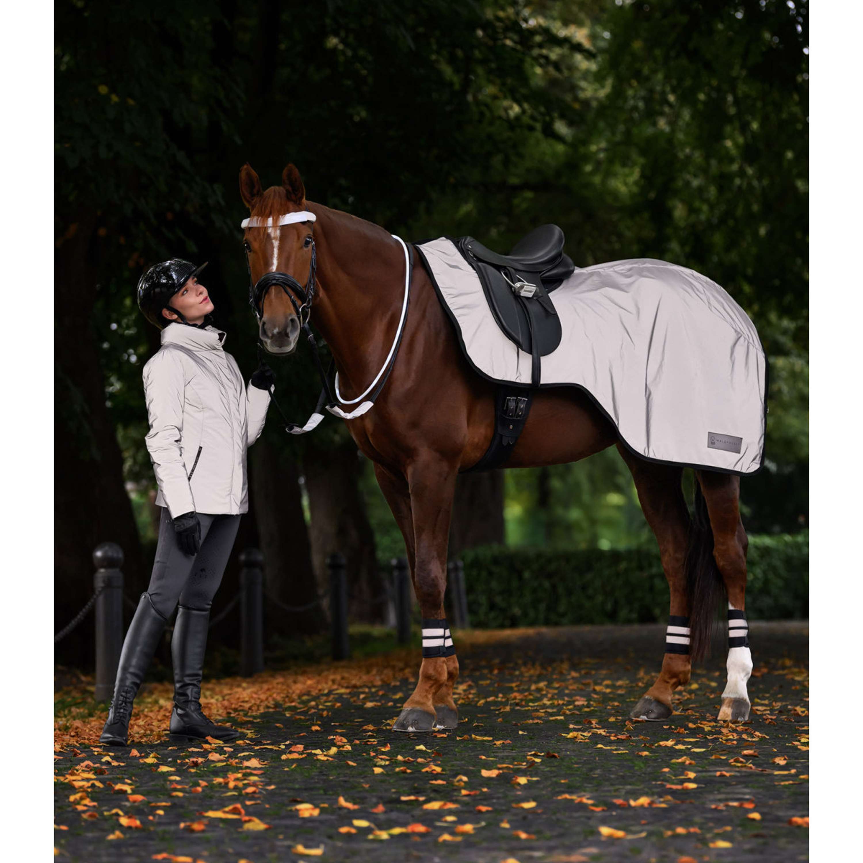 Waldhausen Couvre-reins Reflex Argent Gris