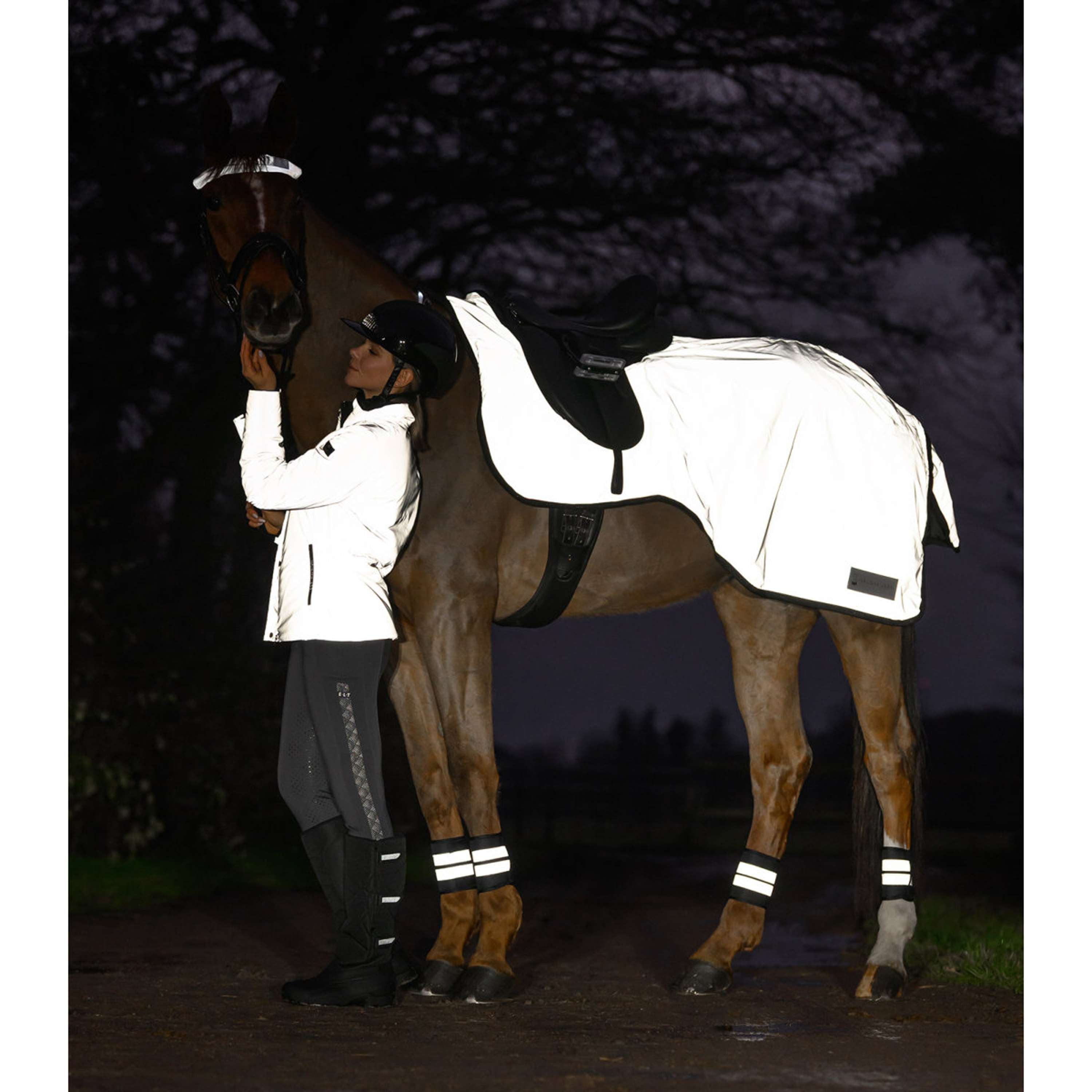 Waldhausen Couvre-reins Reflex Argent Gris