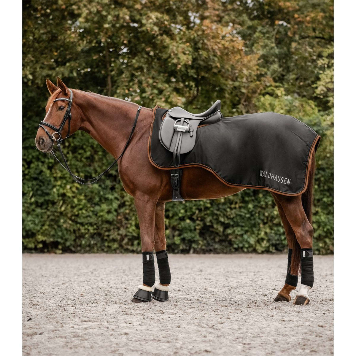 Waldhausen Couvre-reins Imperméable Perth 50g Noir