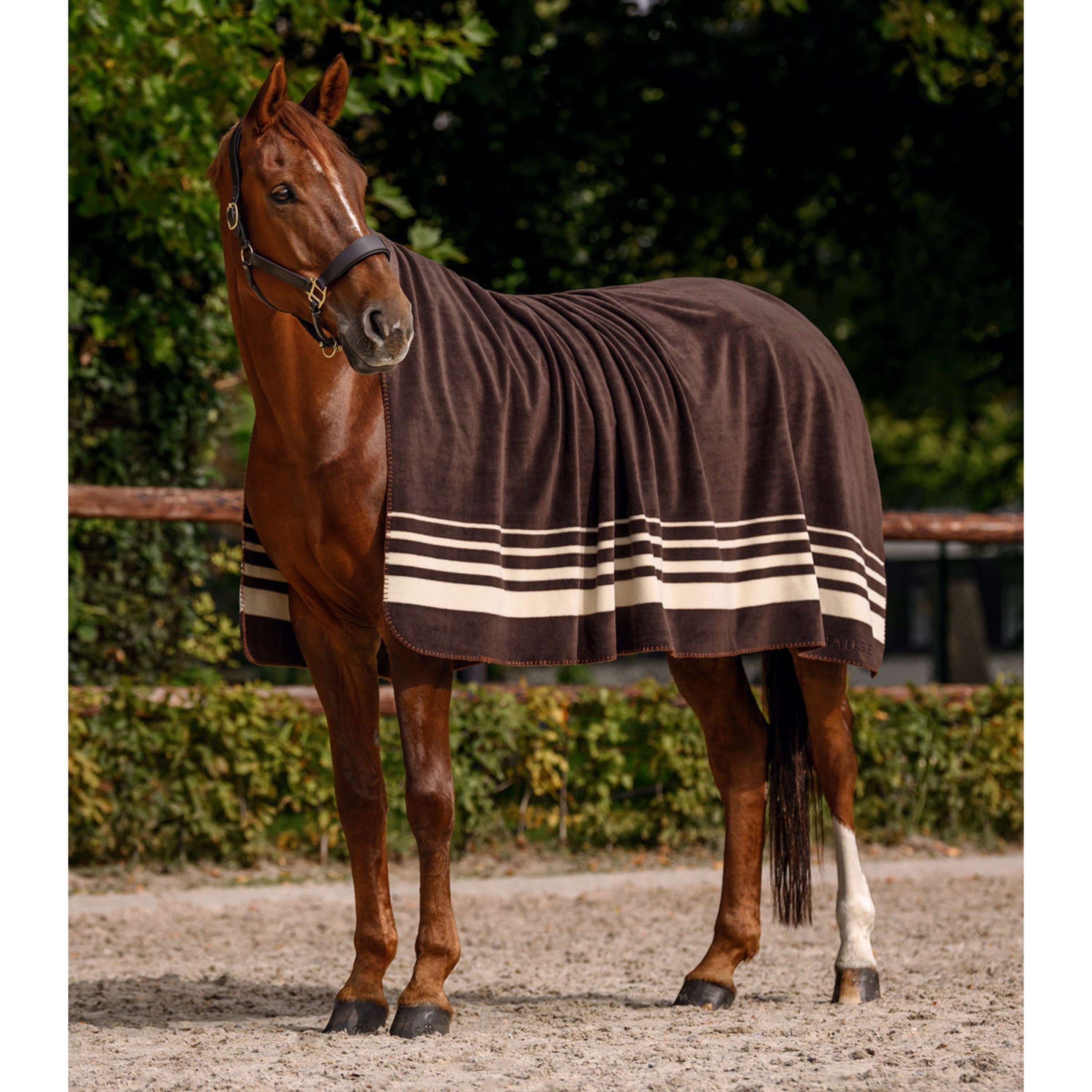 Waldhausen Couverture Polaire Sölden Espresso Waldhausen Couverture Polaire Sölden Espresso