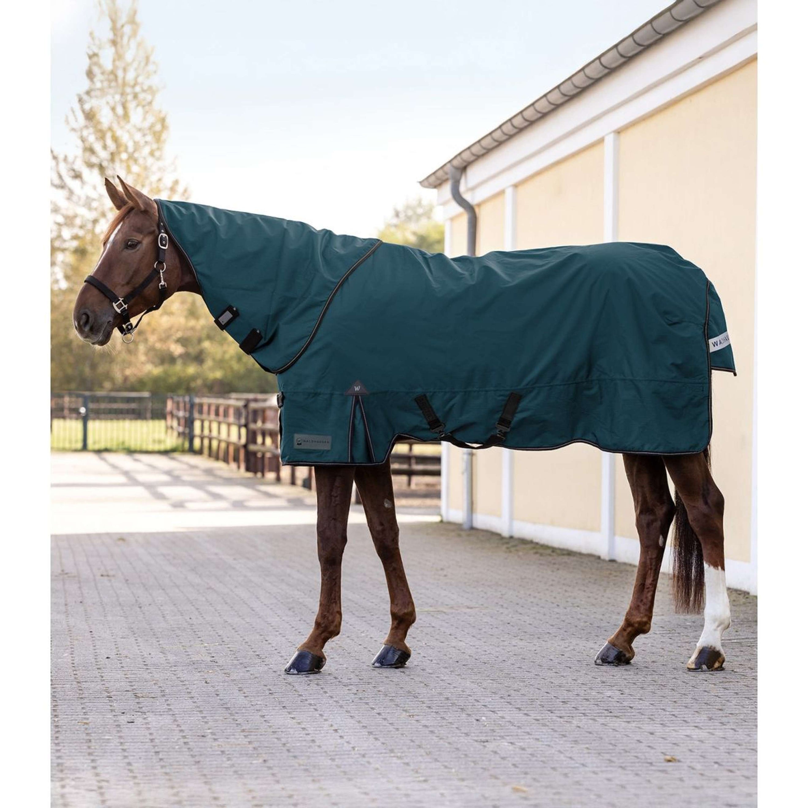 Waldhausen Couvre-Cou 600D Light Petrol Blue Waldhausen Couvre-Cou 600D Light Petrol Blue