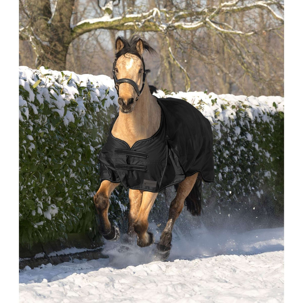 Waldhausen Couverture d'Extérieur Arctic 50g Noir