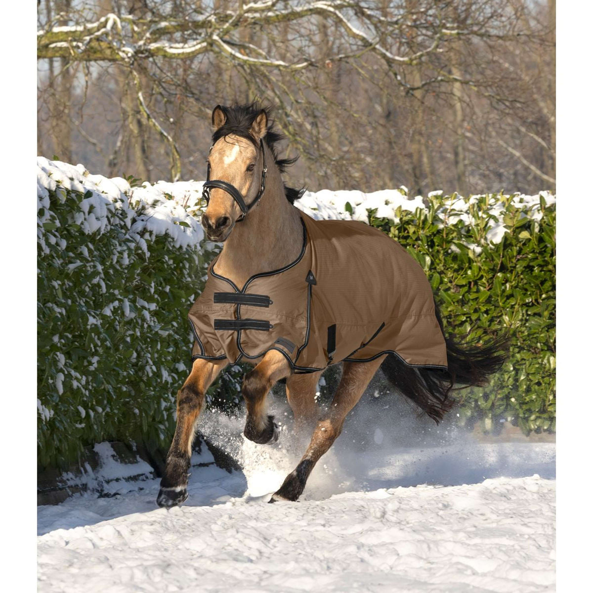 Waldhausen Couverture d'Extérieur Arctic 50g Cappuccino/Noir