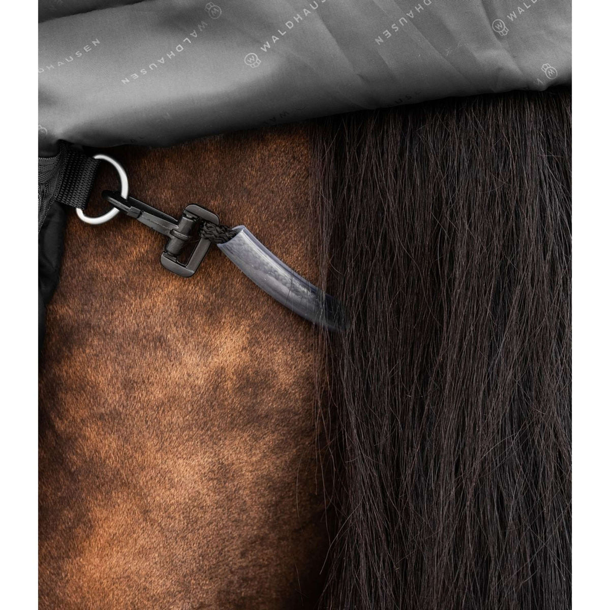 Waldhausen Couverture d'Extérieur Scandic Multi-Layer 100/250g Noir