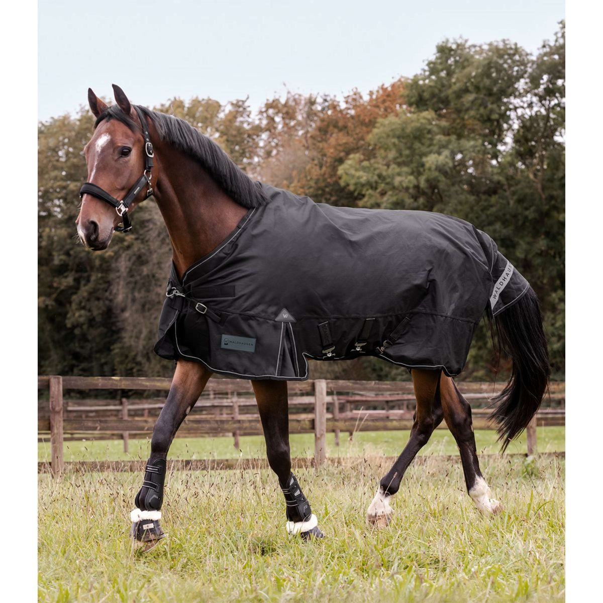 Waldhausen Couverture d'Extérieur Scandic Multi-Layer 100/250g Noir