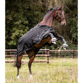 Waldhausen Couverture d'Extérieur Scandic Multi-Layer 100/250g Noir