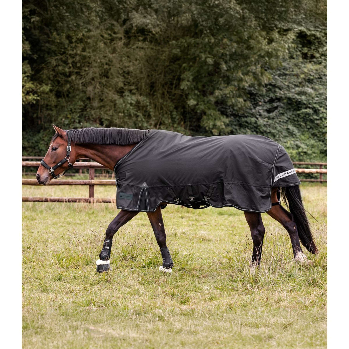 Waldhausen Couverture d'Extérieur Scandic Multi-Layer 100/250g Noir