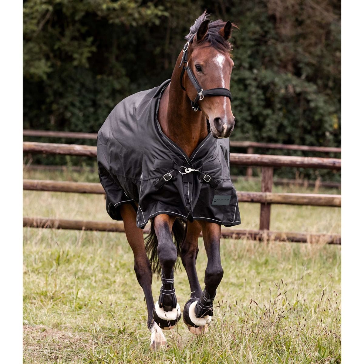 Waldhausen Couverture d'Extérieur Scandic Multi-Layer 100/250g Noir