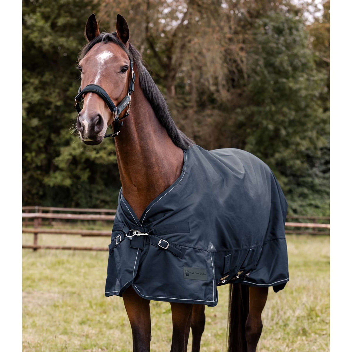 Waldhausen Couverture d'Extérieur Scandic Multi-Layer 100/250g Nightblue