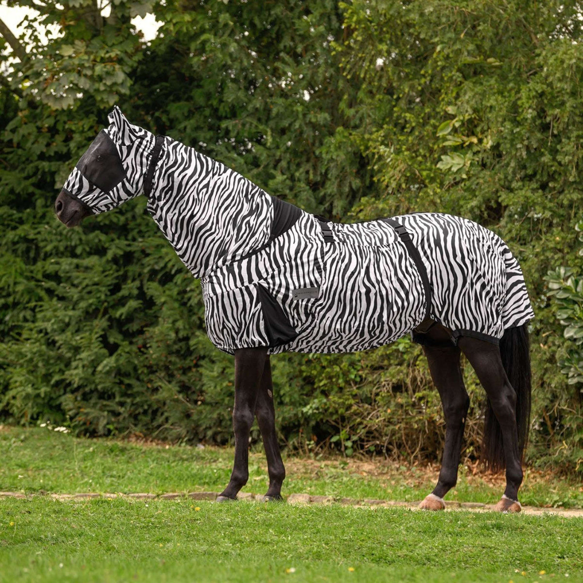 Waldhausen Couverture Anti-Eczema Zebra Zebra