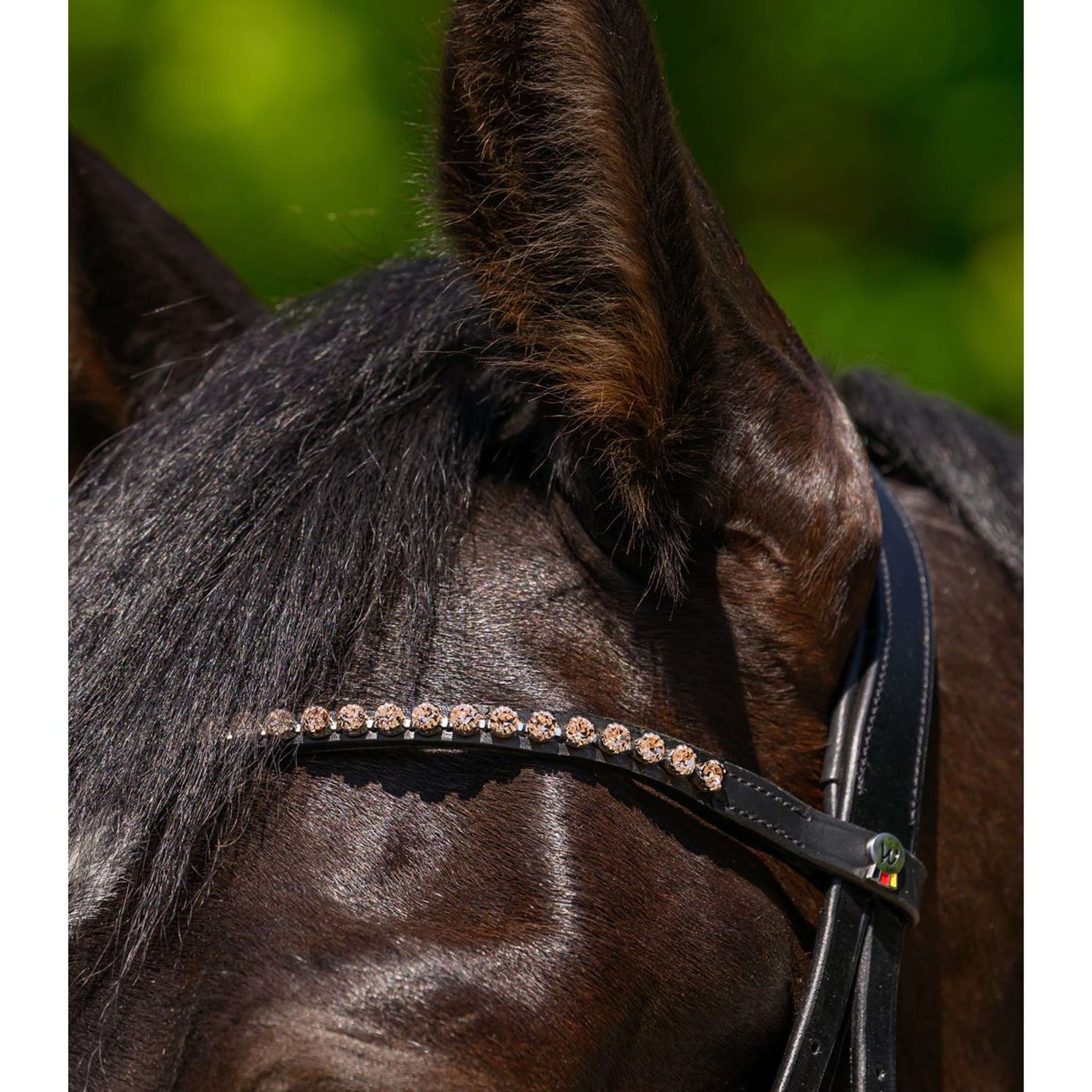 Waldhausen Frontal X-Line Glam Noir Pêche Waldhausen Frontal X-Line Glam Noir Pêche