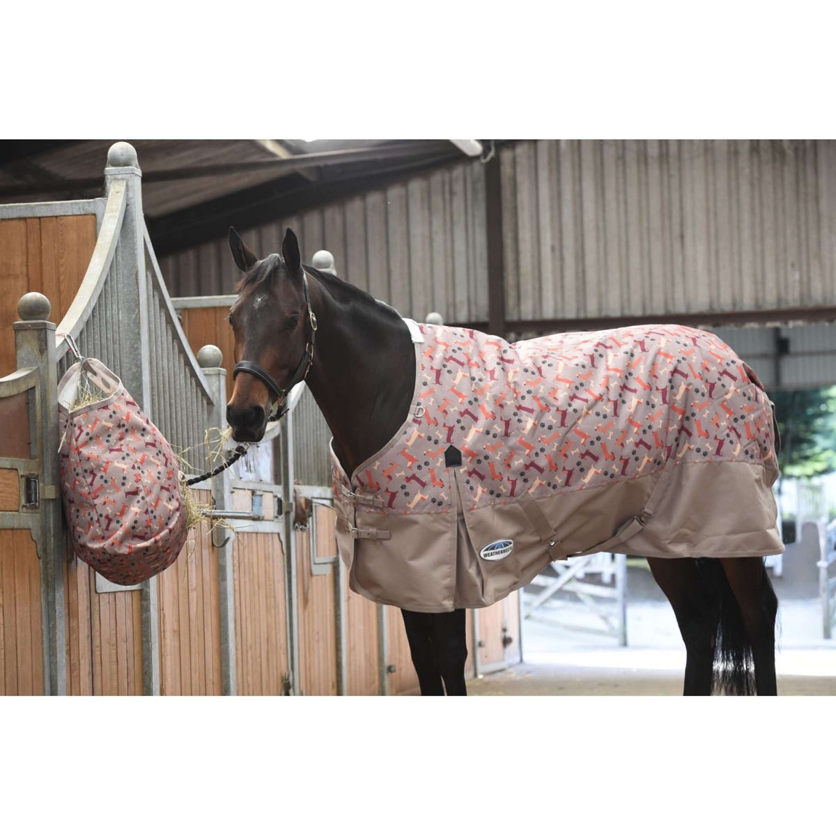 Weatherbeeta Comfitec Essential Standard Neck Lite Plus Dachshund Print