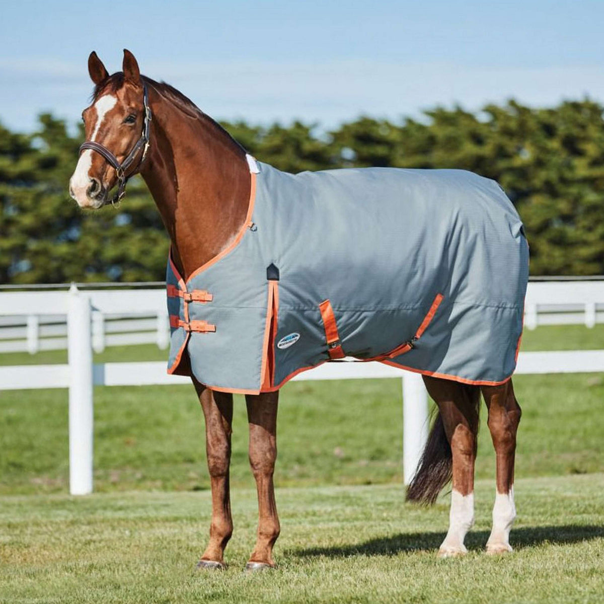 WeatherBeeta ComFiTec Classic Standard Neck Medium 220g Gunmetal/Corail