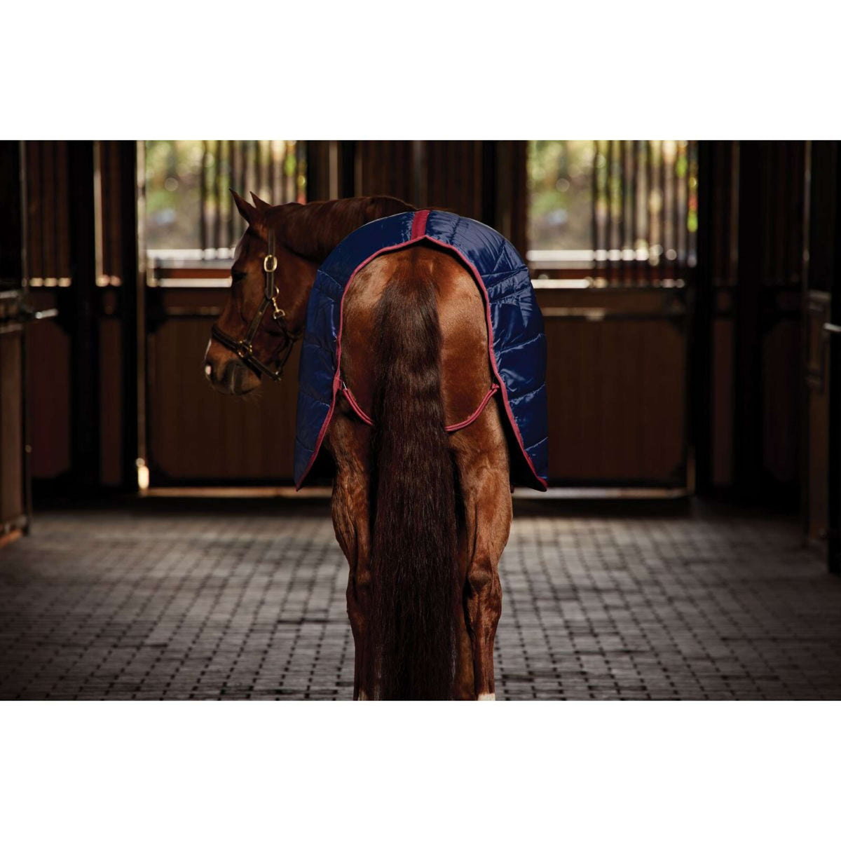 WeatherBeeta Couverture d'Écurie ComFiTec 210D Channel Quilt Standard Neck 100g Marine/Bordeaux