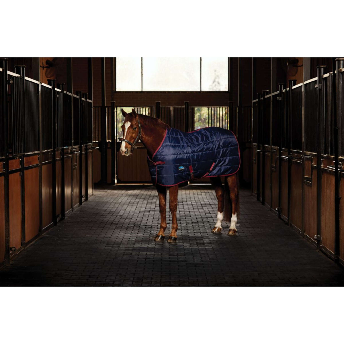 WeatherBeeta Couverture d'Écurie ComFiTec 210D Channel Quilt Standard Neck 100g Marine/Bordeaux