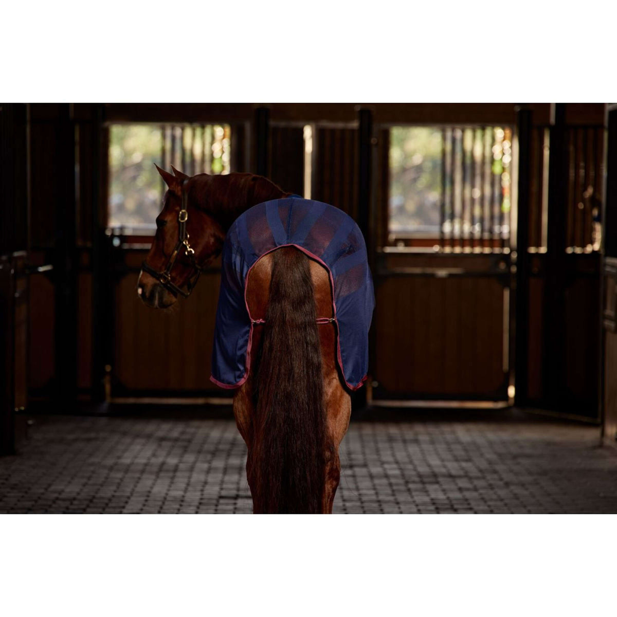 WeatherBeeta Chemise Rafraîchissante Scrim Standard Neck Marine/Bordeaux