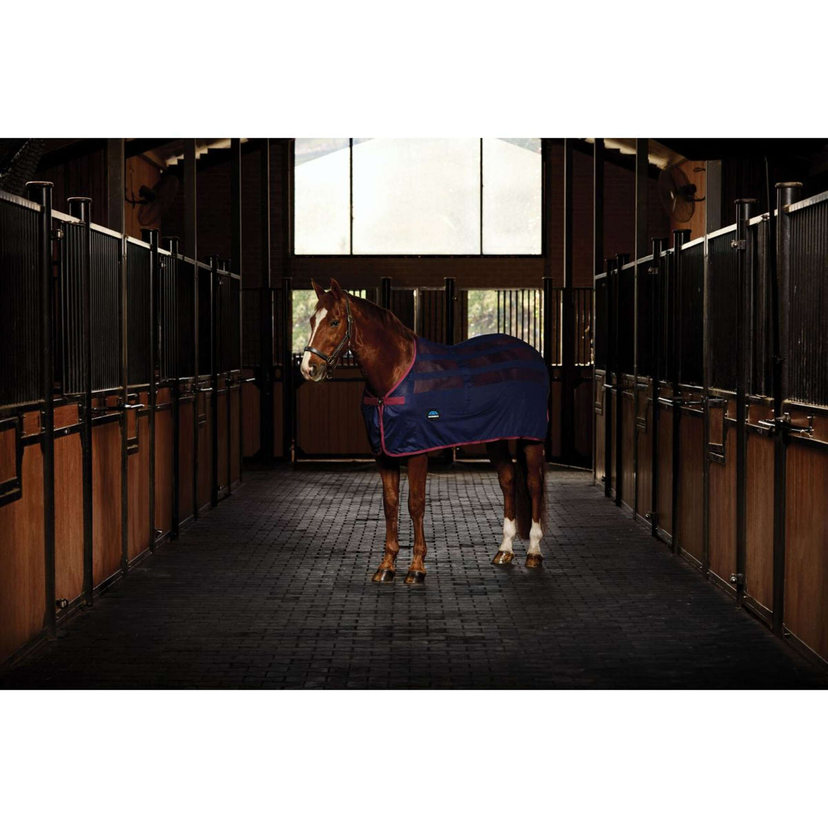 WeatherBeeta Chemise Rafraîchissante Scrim Standard Neck Marine/Bordeaux