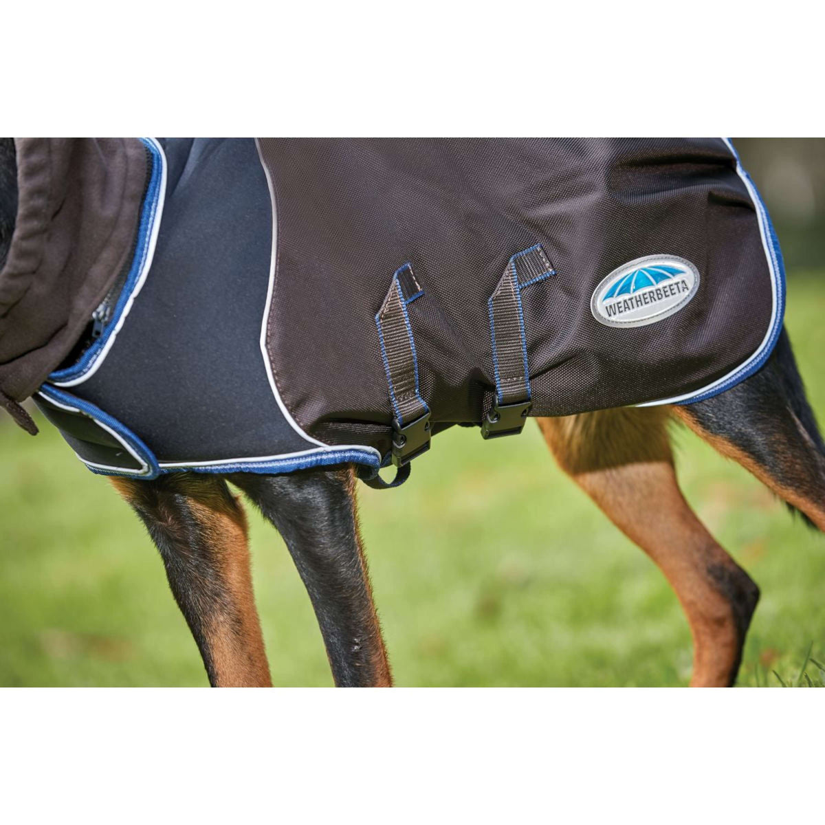 Weatherbeeta Couverture pour Chien Comfitec Ultra Cozi II Medium/Lite Charcoal/Teal Blue/White