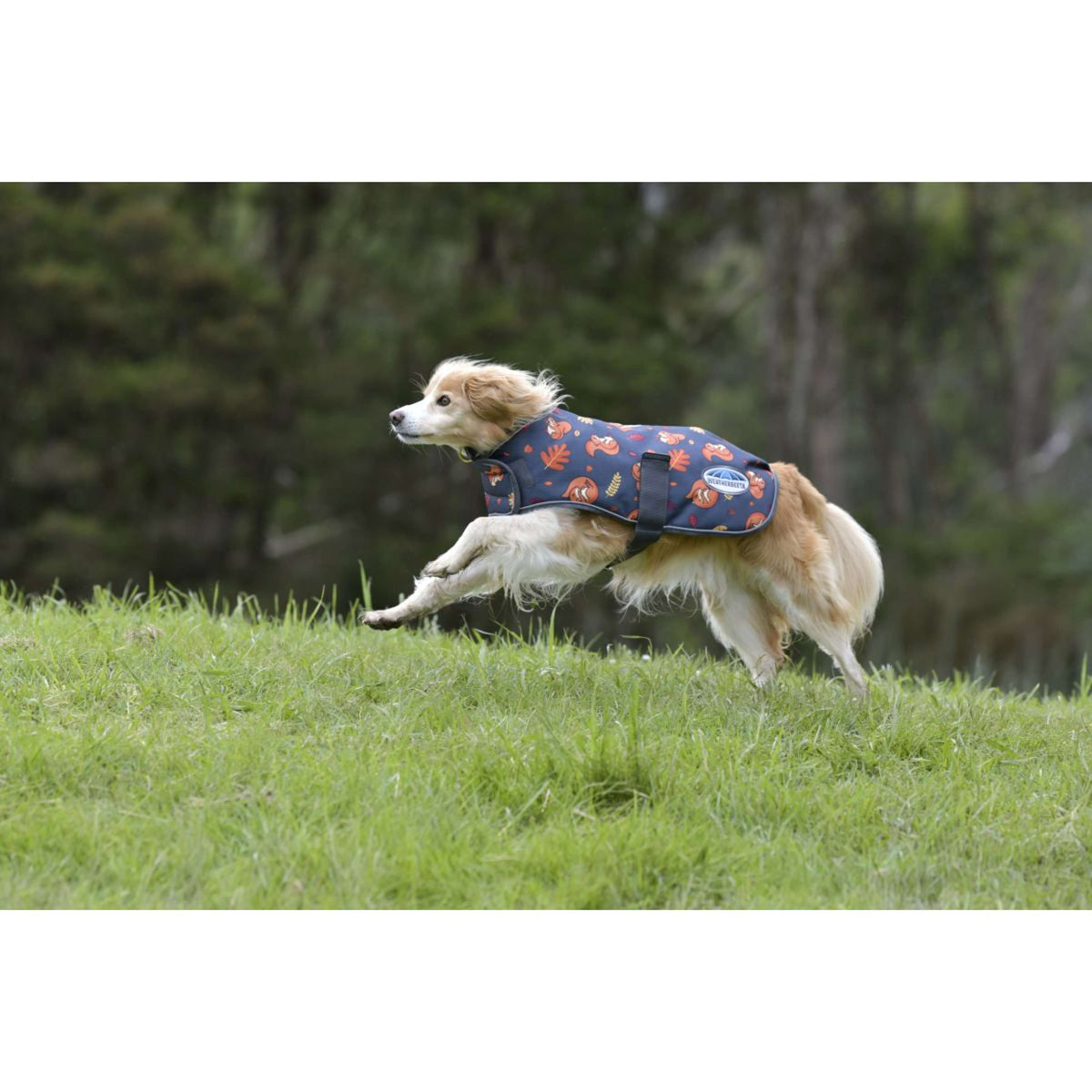 Weatherbeeta Couverture pour Chien Comfitec Premier Free Parka Medium Squirrel Print