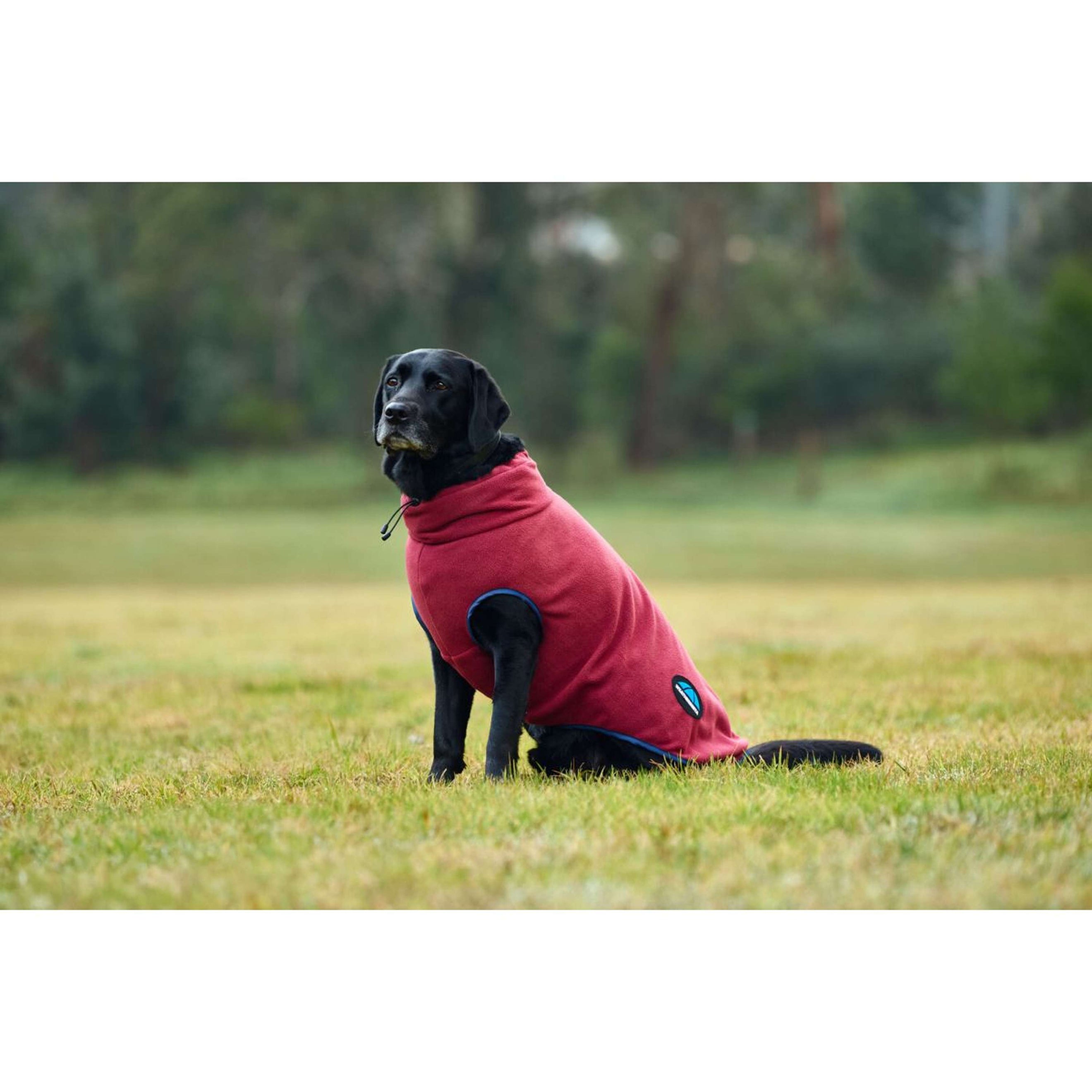 WeatherBeeta Couverture pour Chien ComFiTec Fleece Zip Bourgogne/Marine WeatherBeeta Couverture pour Chien ComFiTec Fleece Zip Bourgogne/Marine