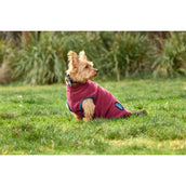 WeatherBeeta Couverture pour Chien ComFiTec Fleece Zip Bourgogne/Marine