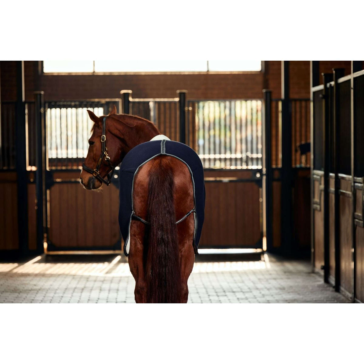 WeatherBeeta Couverture Polaire Sherpa Cooler Standard Neck Navy/Charcoal