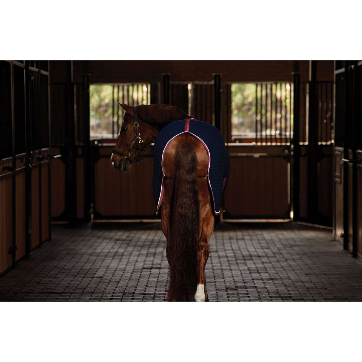 WeatherBeeta Chemise Rafraîchissante Thermocell Standard Neck Marine/Bordeaux