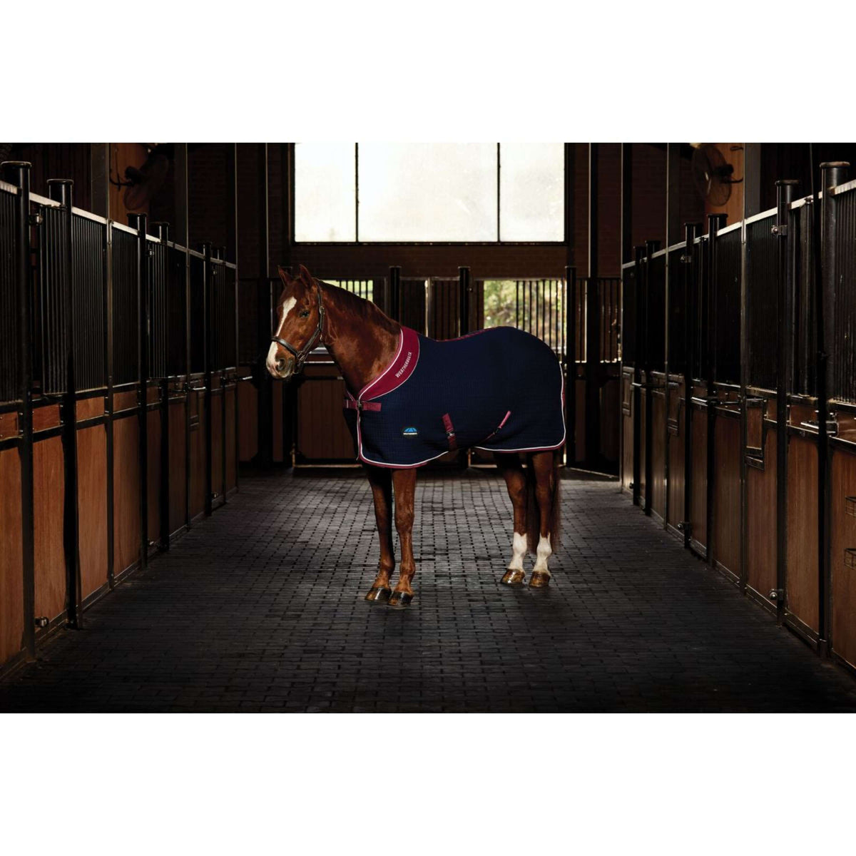 WeatherBeeta Chemise Rafraîchissante Thermocell Standard Neck Marine/Bordeaux