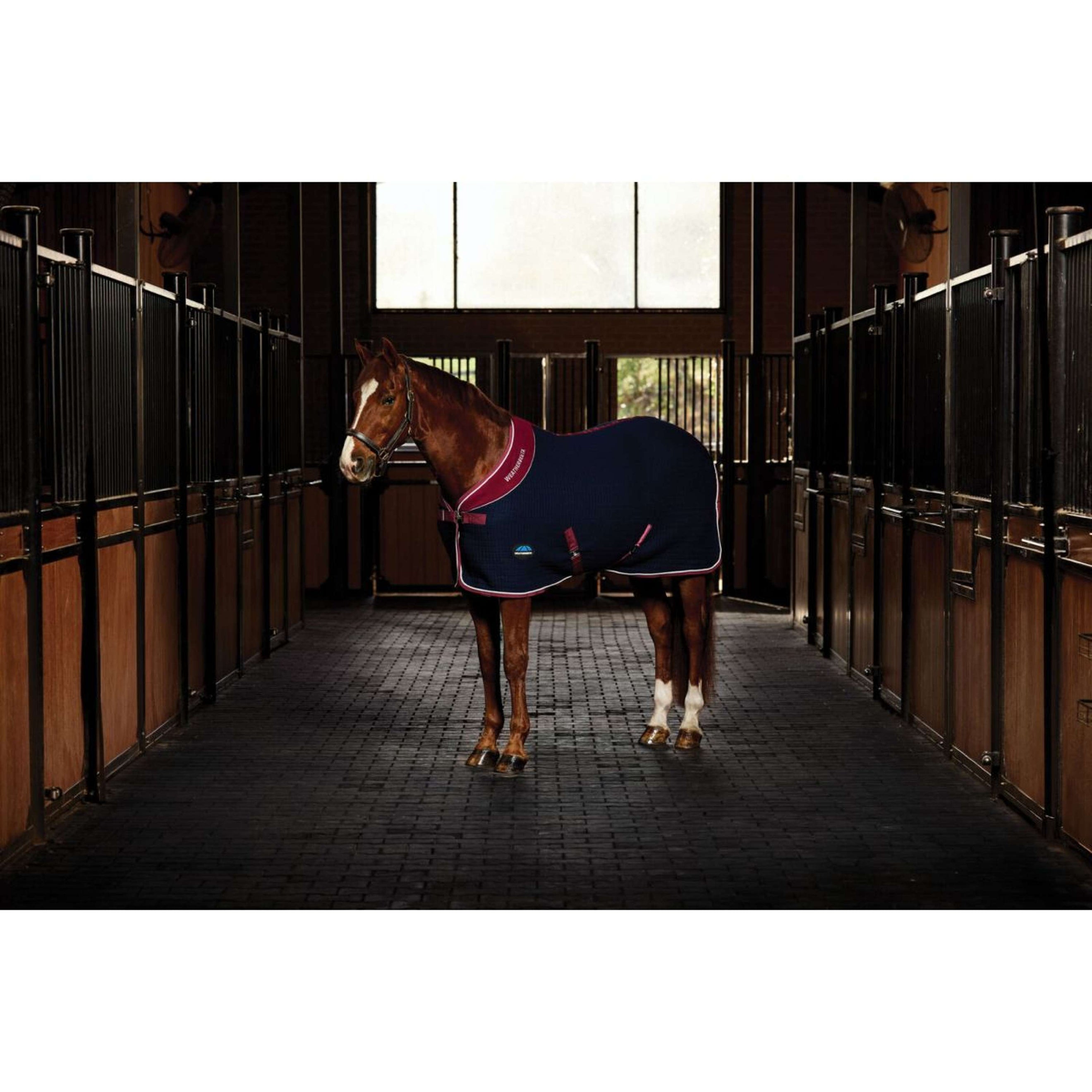 WeatherBeeta Chemise Rafraîchissante Thermocell Standard Neck Marine/Bordeaux