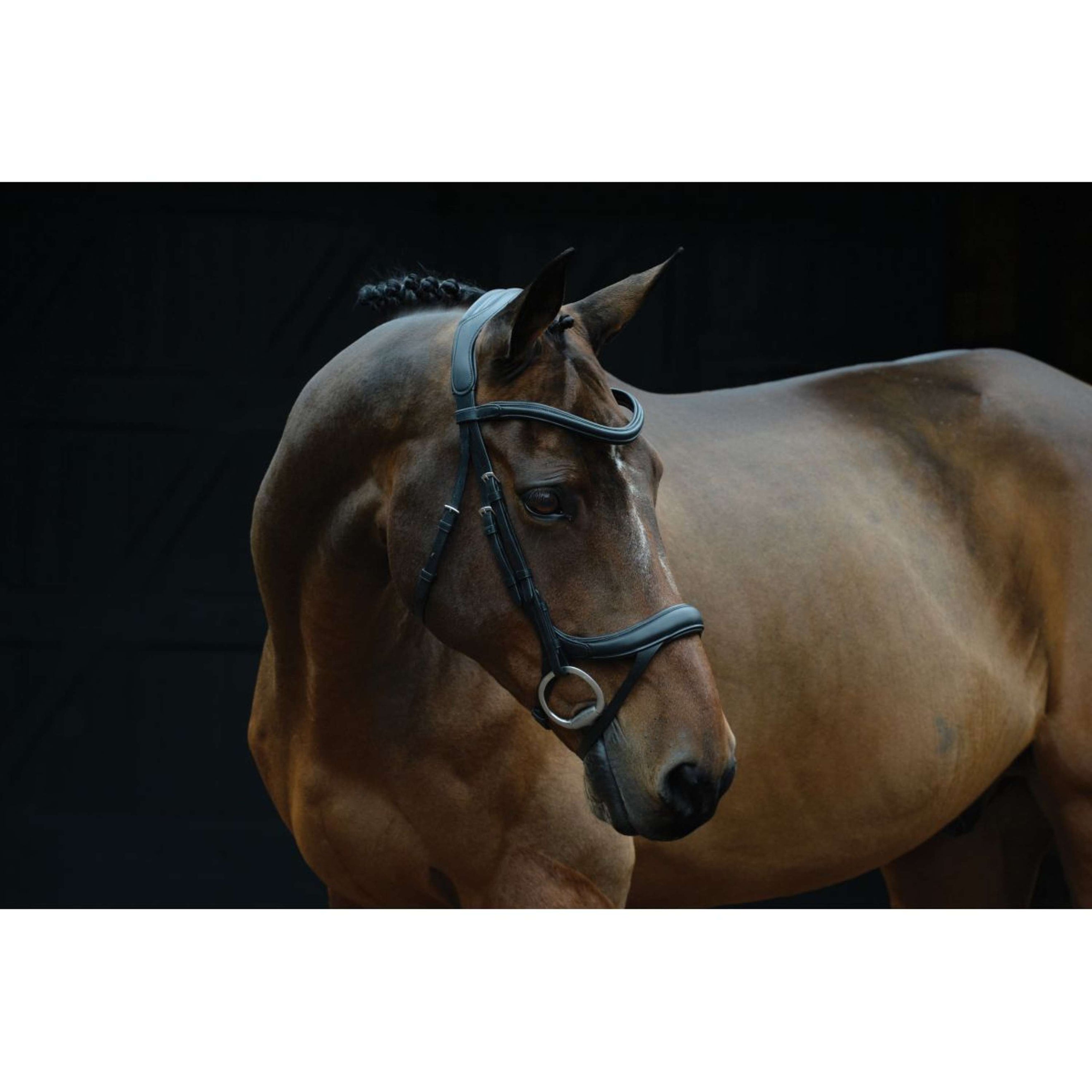 Collegiate Bridon ComFiTec Vogue Anatomique Noir