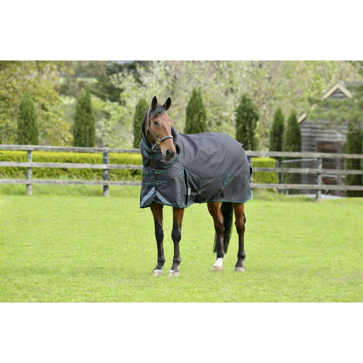 WeatherBeeta Couverture d'Hiver ComFiTec Plus Dynamic II Detach-A-Neck Medium/Lite 100g Grey/Dark Green/White