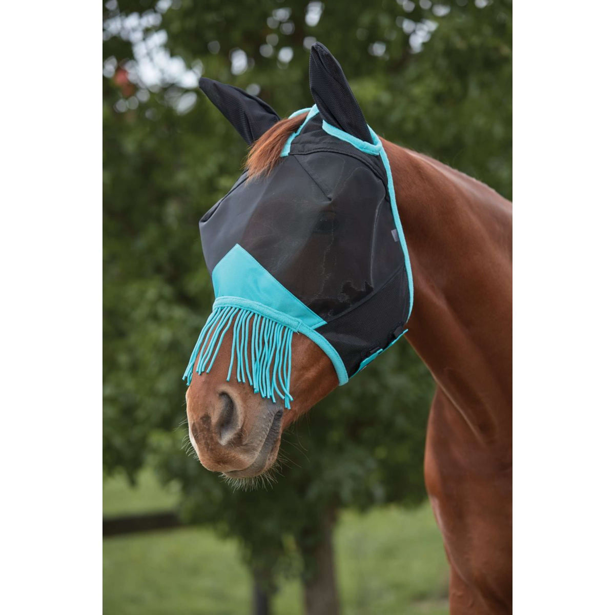 Weatherbeeta Masque Anti-Mouches Comfitec Deluxe Fine Mesh avec Oreilles et Franges Noir/Turquoise