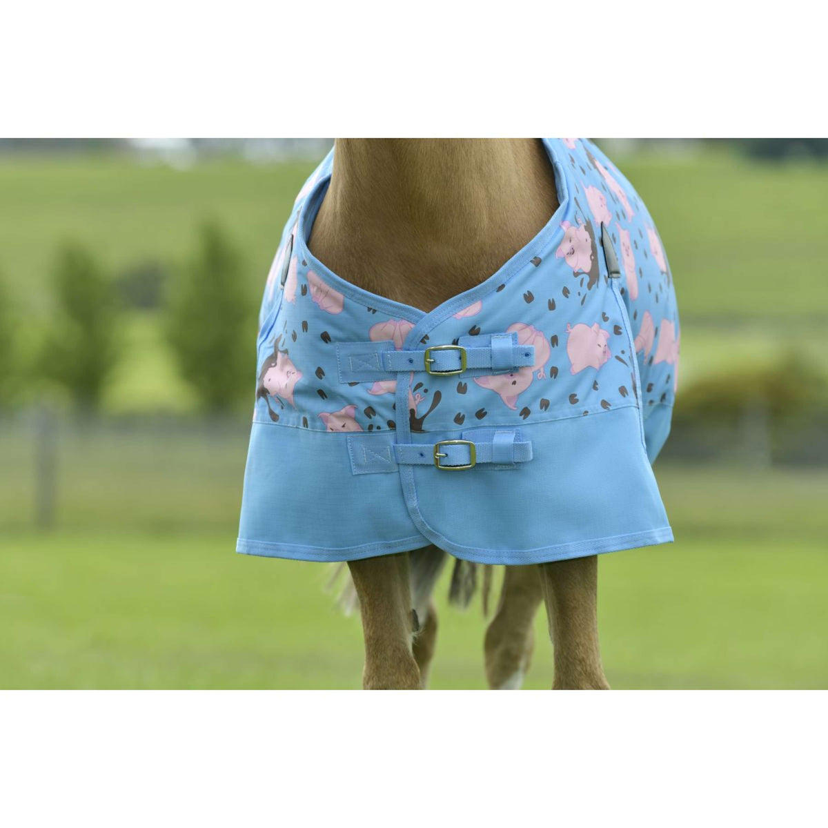 Saxon Couverture d'Hiver Standard Neck Medium 600D Poney Pig Print