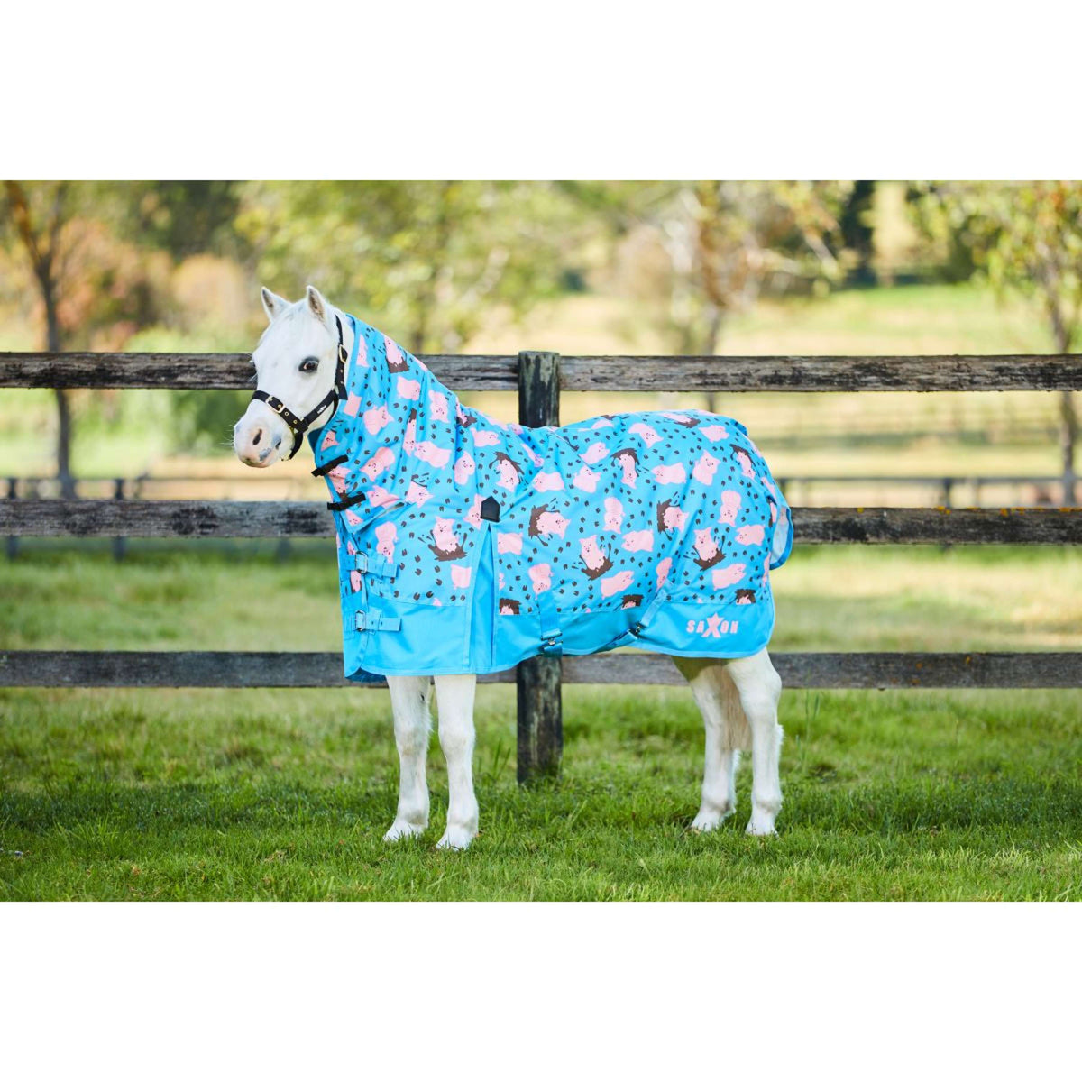 Saxon Couverture d'Hiver Combo Neck Medium 600D Poney Pig Print