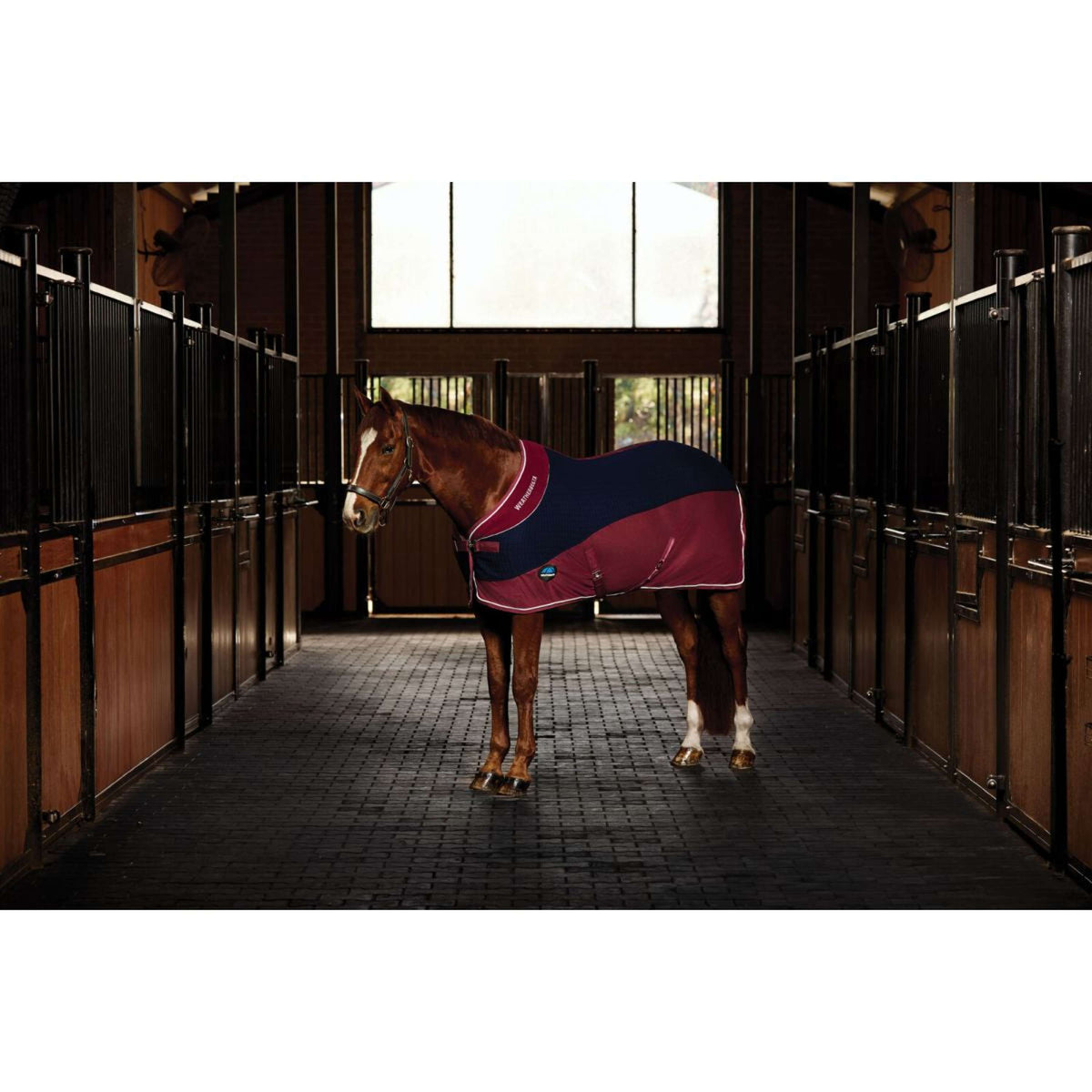 WeatherBeeta Couverture Polaire Thermo-Air Standard Neck Marine/Bordeaux