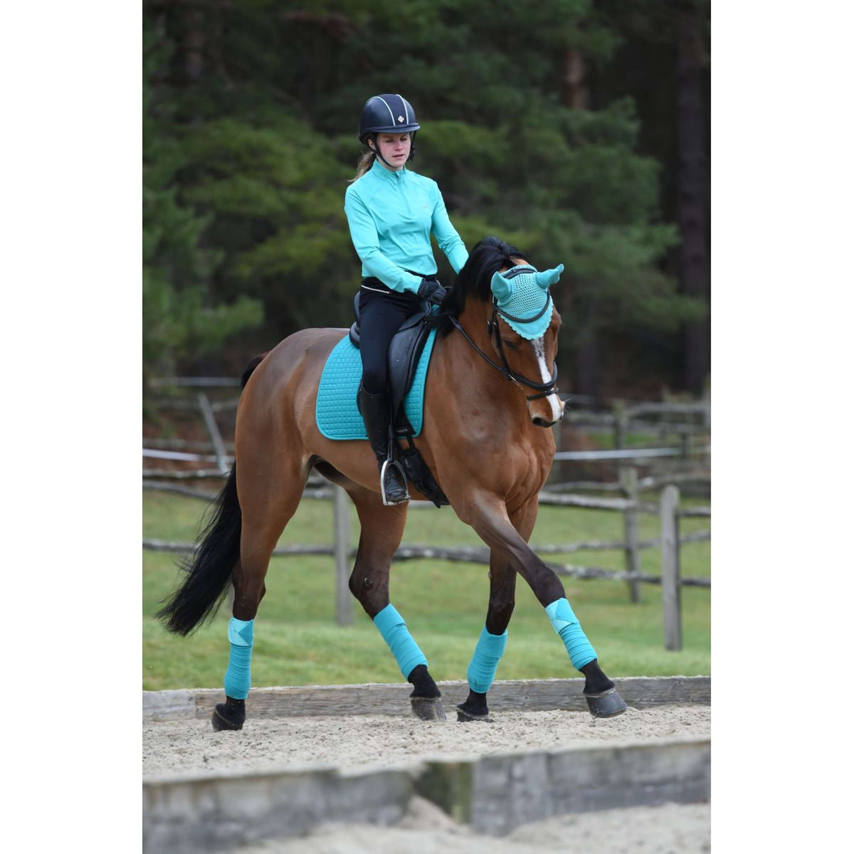 Weatherbeeta Chemise Prime Longues Manches Turquoise