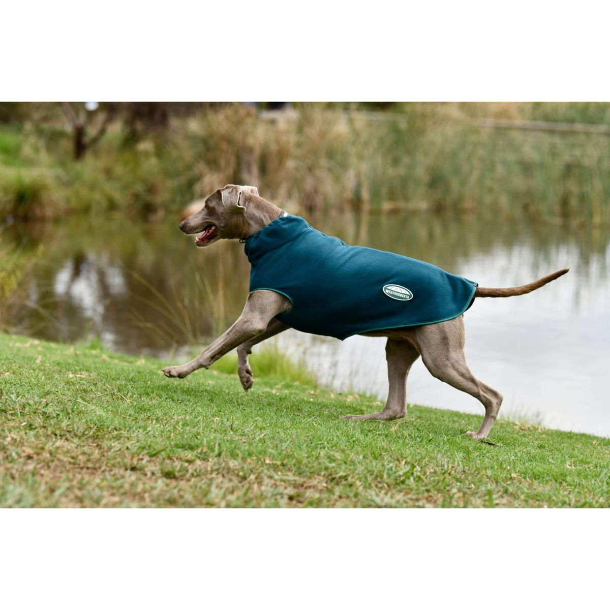 Weatherbeeta Couverture pour Chien Green-Tec Fleece Zip Dragonfly Blue/Bottle Green