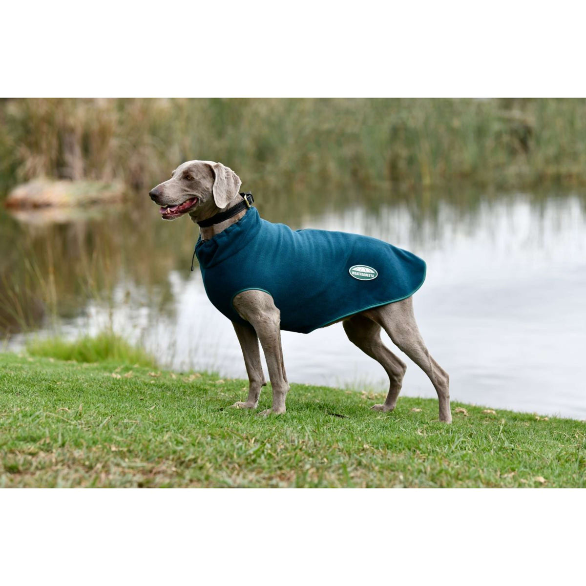 Weatherbeeta Couverture pour Chien Green-Tec Fleece Zip Dragonfly Blue/Bottle Green