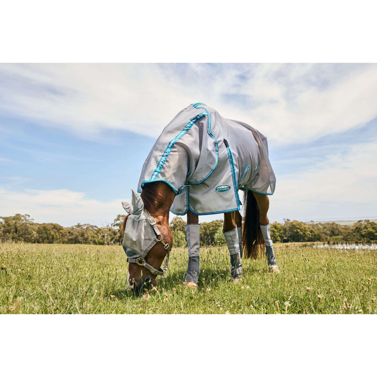 WeatherBeeta Masque Anti-Mouches ComFiTec Hexi Dual Argent