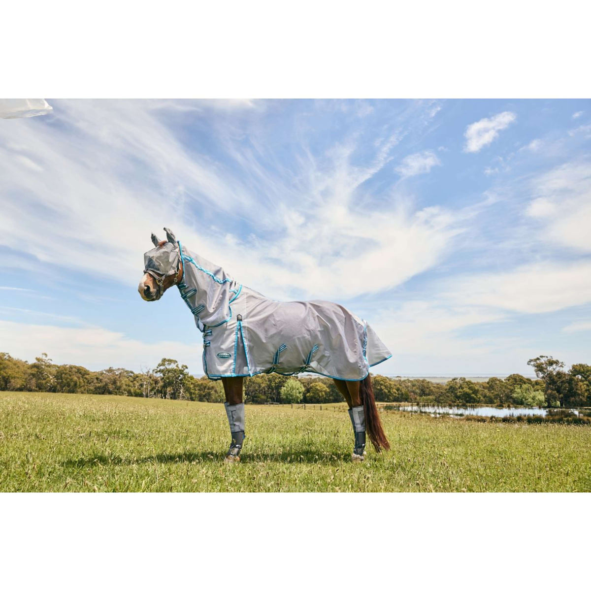 WeatherBeeta Masque Anti-Mouches ComFiTec Hexi Dual Argent