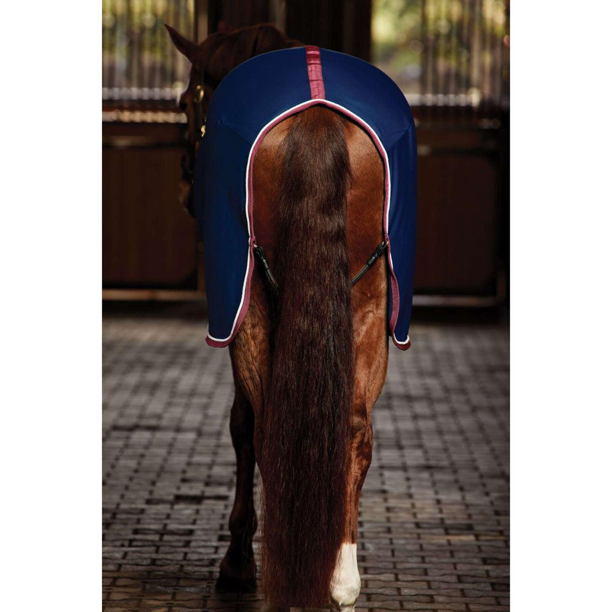 WeatherBeeta Couverture de Concours Opulence Standard Neck Marine/Bordeaux