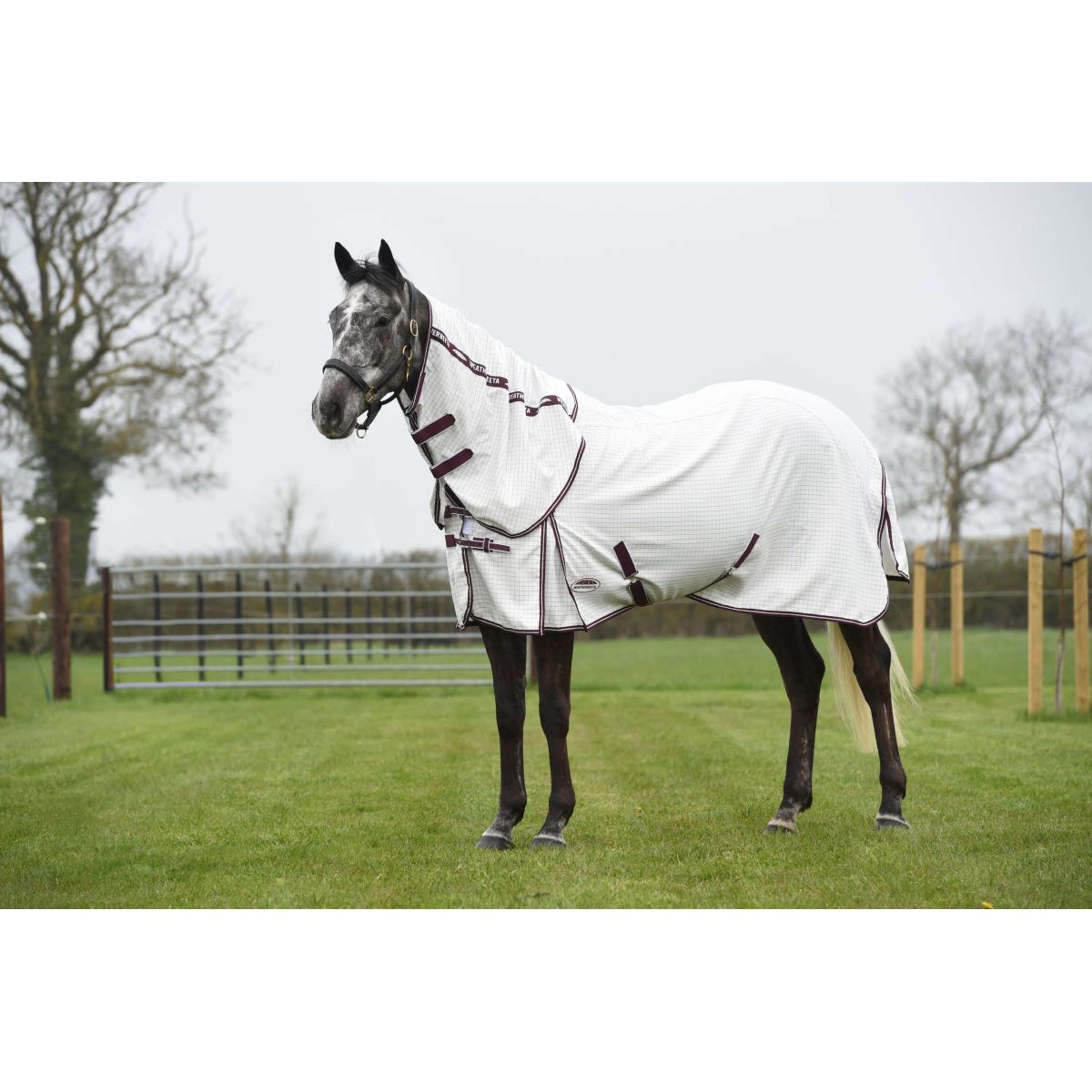 WeatherBeeta Couverture d'Été Hybrid Seasons Combo Neck White/Maroon