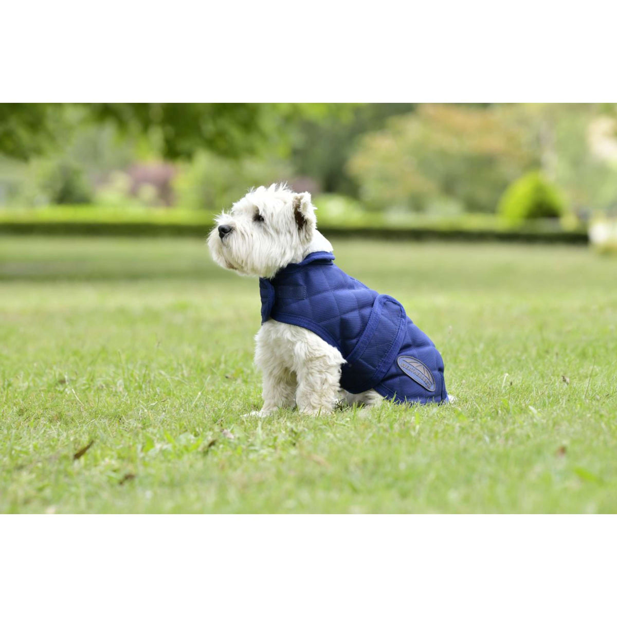 Weatherbeeta Couverture pour Chien Comfitec Deluxe Diamond Quilt Marin