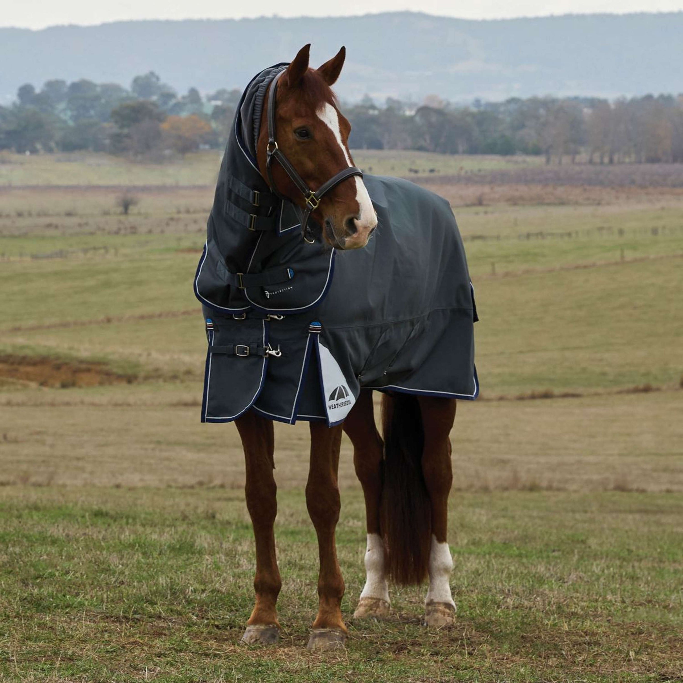 WeatherBeeta ComFiTec Ultra Turnout Detach-A-Neck 360g Charbon WeatherBeeta ComFiTec Ultra Turnout Detach-A-Neck 360g Charbon