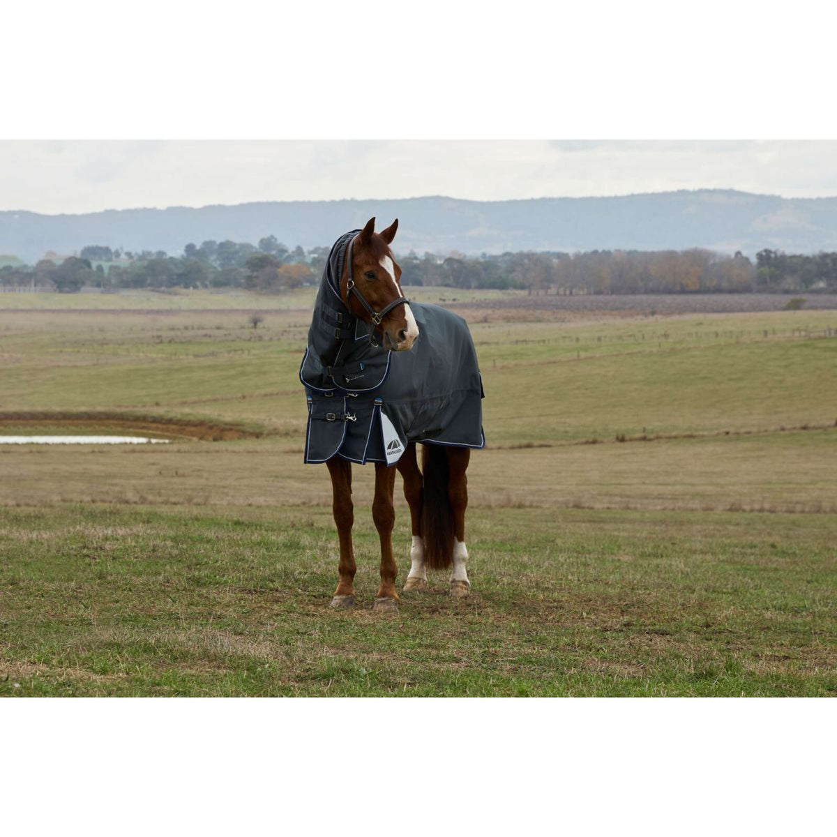 WeatherBeeta ComFiTec Ultra Turnout Detach-A-Neck 220g Charbon