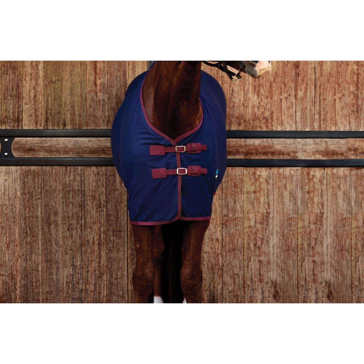 WeatherBeeta Chemise Rafraîchissante Cotton Sheet Standard Neck Marine/Bordeaux