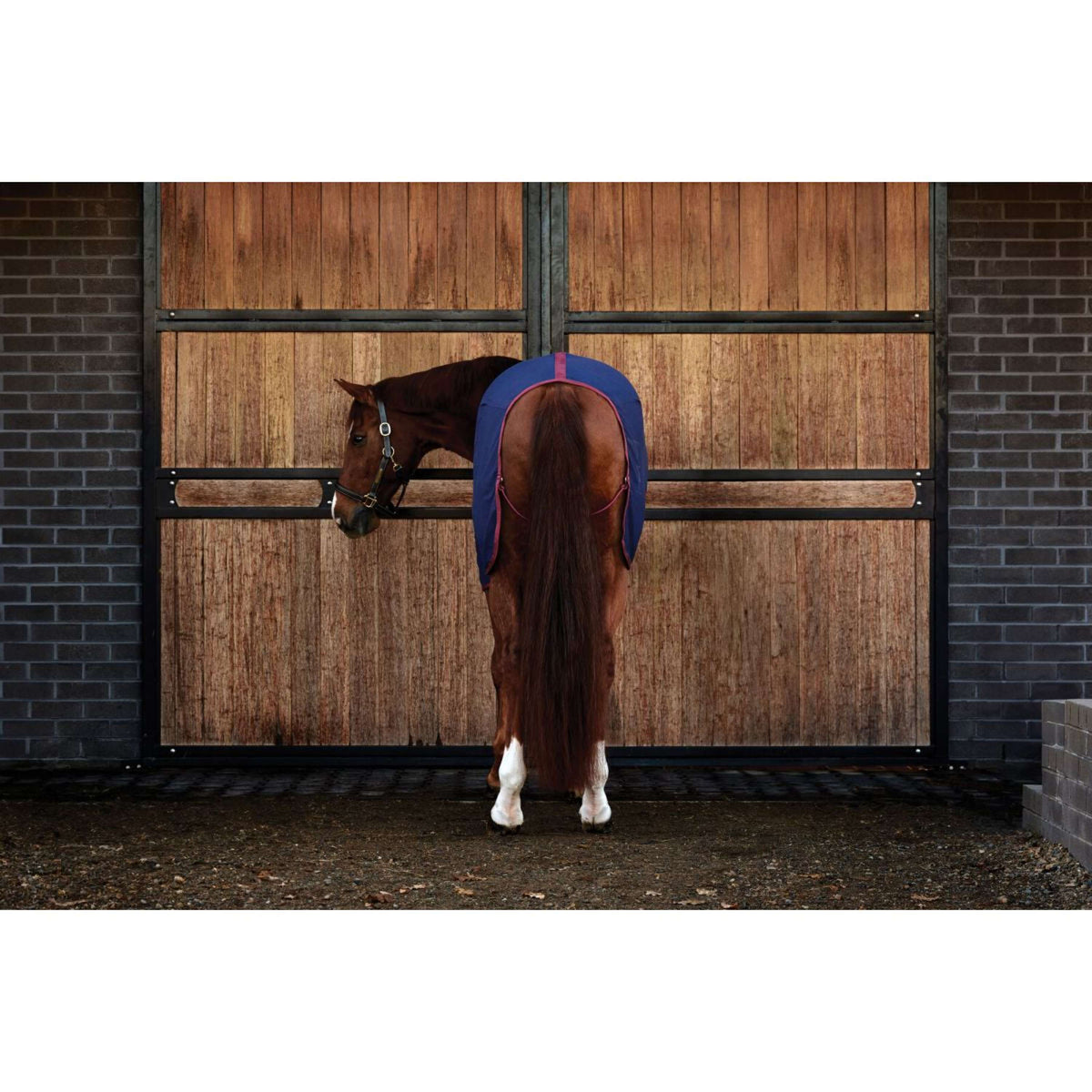 WeatherBeeta Chemise Rafraîchissante Cotton Sheet Standard Neck Marine/Bordeaux