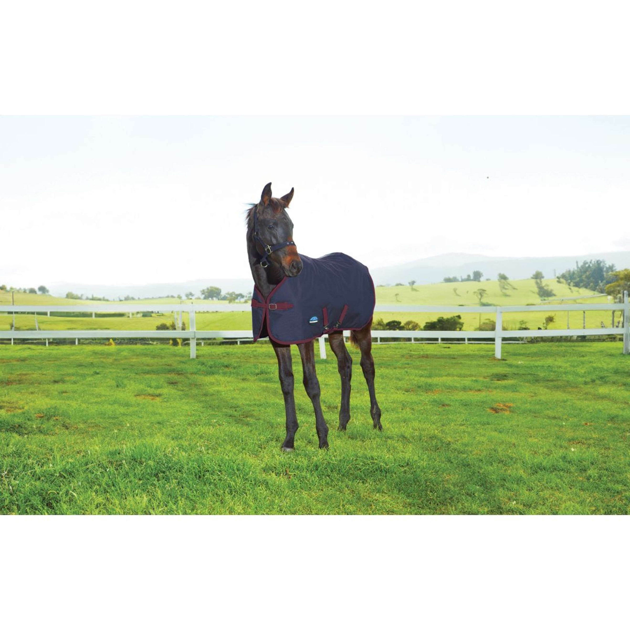WeatherBeeta Couverture pour Poulain 1200D Standard Neck 220g Marine/Bordeaux
