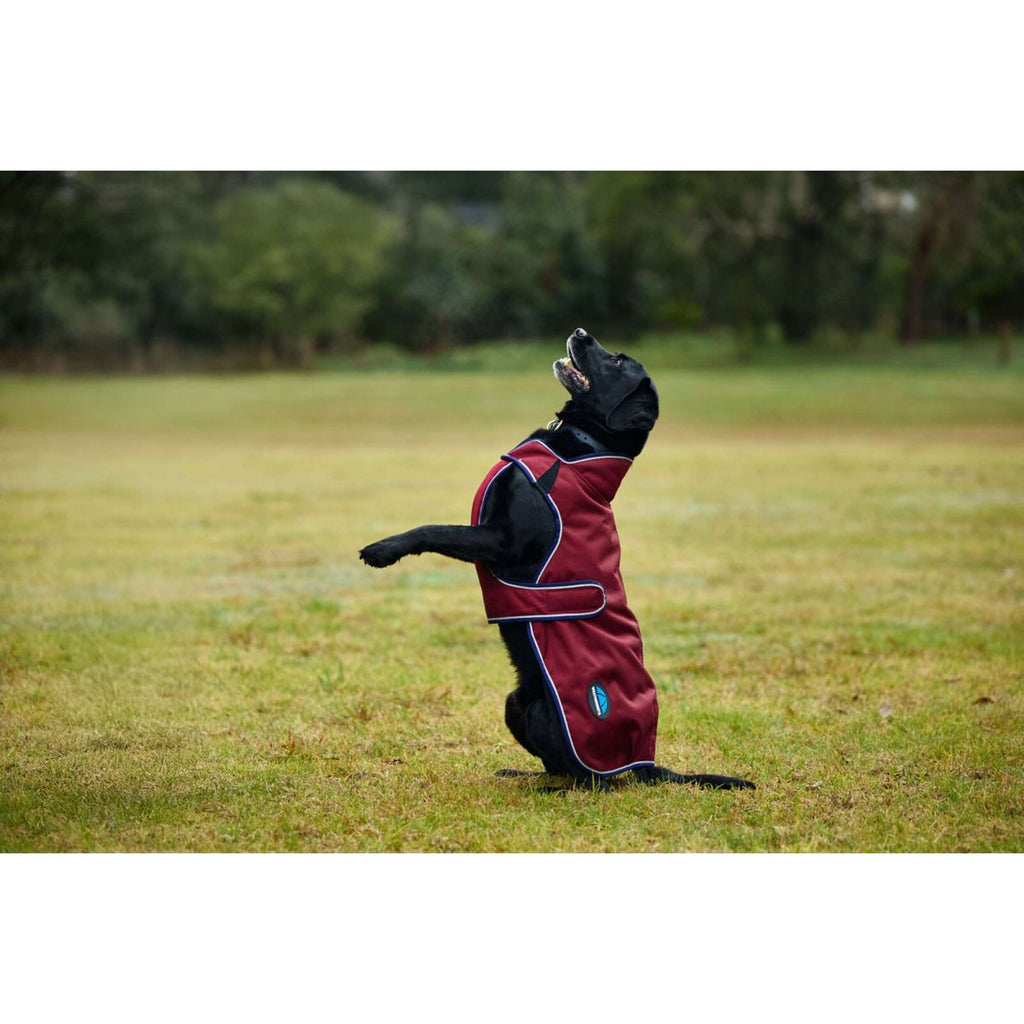 WeatherBeeta Couverture pour Chien ComFiTec Premier Deluxe Waterproof Bourgogne/Marine
