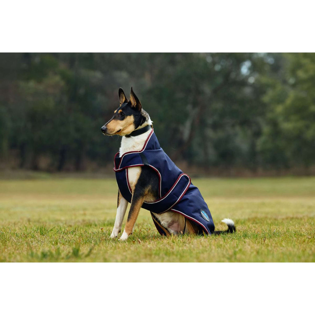 WeatherBeeta Couverture pour Chien ComFiTec Premier Deluxe Waterproof Marine/Bordeaux